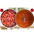 Mini Electric Grinder NM-8300 Stainless Steel Grinder For Coffee beans, Spices, Masala Grindi.... 