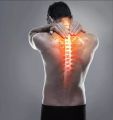 Crown Ortho Back Care cushion. 