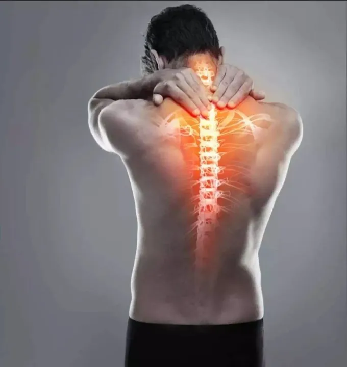 Crown%20Ortho%20Back%20Care%20cushion%20-%20Image%205