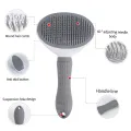China dog hair brush china dog hair brush china dog hair comb china dog hair brush china dog hair comb. 