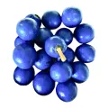Blue olives nil veralu rare layer plant. 
