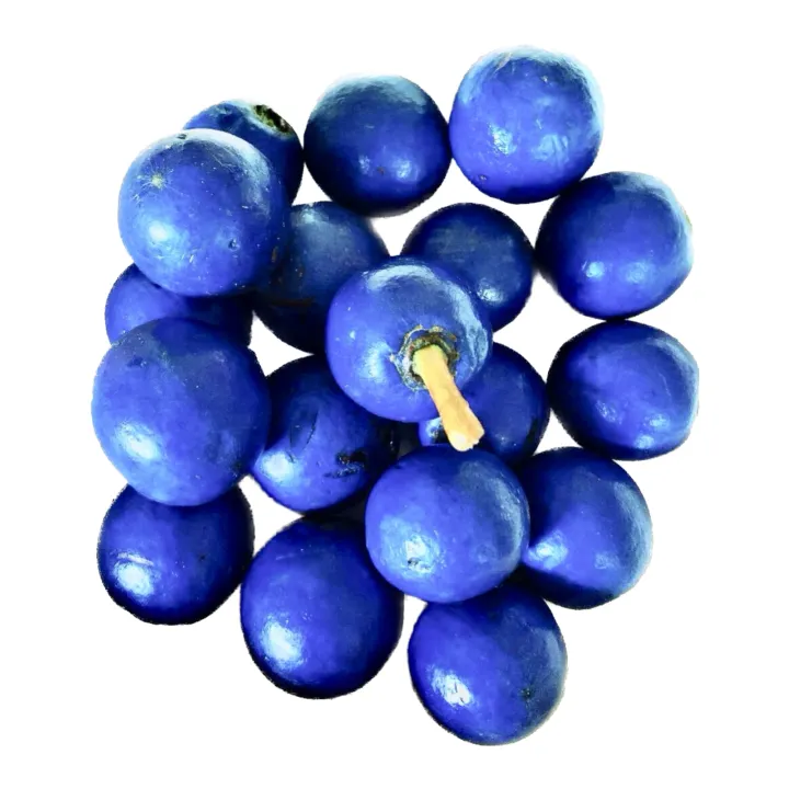 Blue%20olives%20nil%20veralu%20rare%20layer%20plant%20-%20Image%202