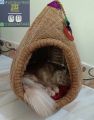 Cat house for persian and deshi cat(large size cat home). 