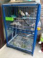 4 Floor Nut System Folding Cage Made by 13no Wire Size 24/18/14 inchi Cash On Delivery Available. 