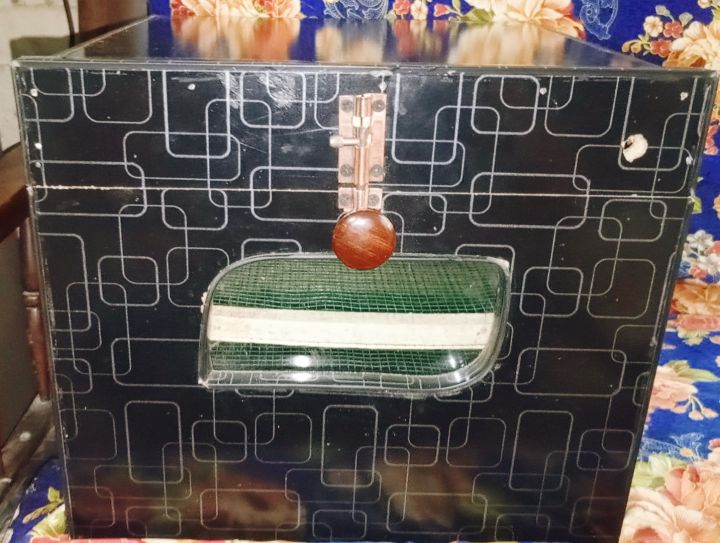 Box of Eggs Incubator Only Box with jali wali hatching tray (70eggs)