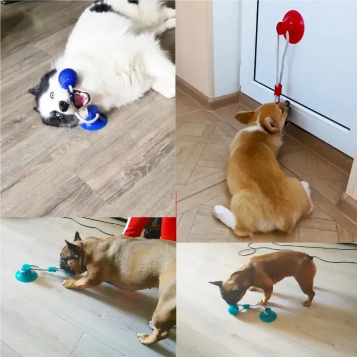 Dog%20Toys%20Pet%20Puppy%20Interactive%20Suction%20Cup%20Push%20TPR%20Ball%20Toys%20Molar%20Bite%20Toy%20Elastic%20Ropes%20Dog%20Tooth%20Cleaning%20Chewing%20Supplies%20-%20Image%204
