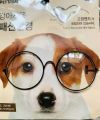 Pet sunglasses Accessory-Cat and Dog fashion. 