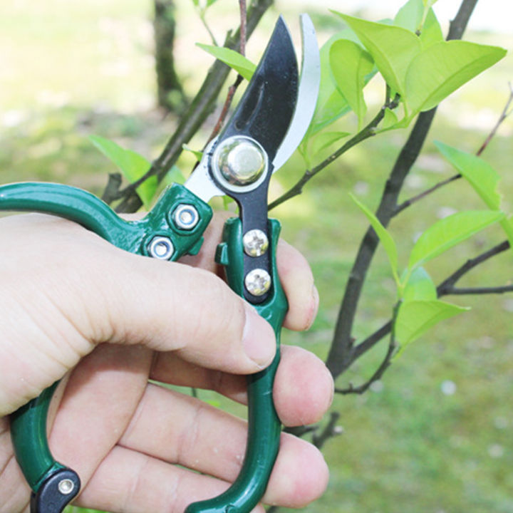 Gardening%20Secateurs%20Cutting%20Pruner%20Garden%20Hand%20Pruners%20Fruit%20Tree%20Pruning%20Shears%20Grape%20Fruit%20Picking%20Weeds%20Pruner%20Gardening%20Tool%20-%20Image%205