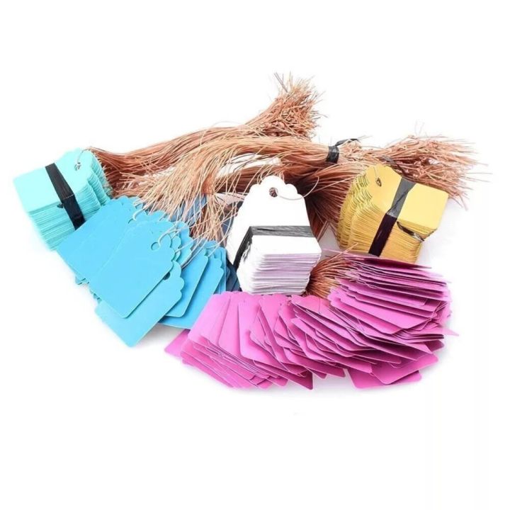 100 Pcs Hanging Colorful Garden Tags with String, Writable Marking Label, Waterproof PVC Plastic Tag for Plant, Flower, Tree, Bonsai, Orchid & Outdoor Gardening, Plants Name Tags Labels Marker Nursery & Greenhouse From Green Messenger (3 Different Size)