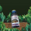 Flavored Fishing Bait for Catching KOI FISH |.