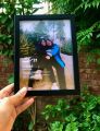 Polaroid Frame Aesthetic / polaroid frames for gift / Custom Home Map Frame / Custom Home Map Frame /Premium Quality Print / A4 Size Frame / Wall hanging frame for gifts / Minimalist Black Modern Frame /. 