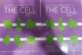 Molecular Biology Of The Cell. 