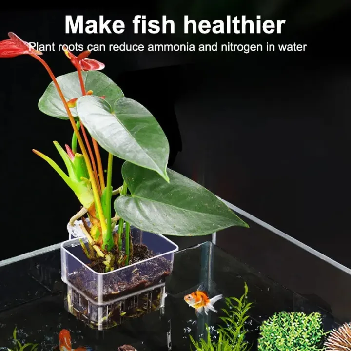 Aquarium%20Plant%20Basket%20Transparent%20Fish%20Tank%20Hanging%20Decorations%20Pot%20Aquatic%20Plants%20Holder%20Aquatic%20Plant%20Cup%20Fish%20Tank%20Planter%20-%20Image%202