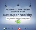 Moringa leaves Powder 250 gm | سہانجنا پاؤڈر | High Quality Moringa Oliefera (Suhanjna) by ROGANIC PAKISTAN. 