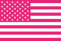 Pink Ariana Flag Funny Tapestry American Grande Flags Poster Merch Suitable. For College Dorm Room Decor. Outdoor Parties. 