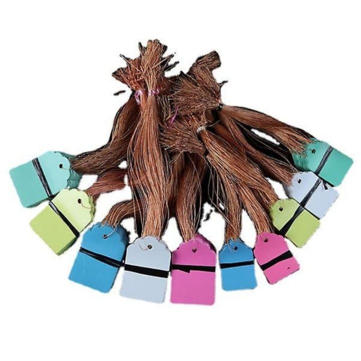 100 Pcs Hanging Colorful Garden Tags with String, Writable Marking Label, Waterproof PVC Plastic Tag for Plant, Flower, Tree, Bonsai, Orchid & Outdoor Gardening, Plants Name Tags Labels Marker Nursery & Greenhouse From Green Messenger (3 Different Size)