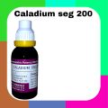 Caladium seg 200(30ml) Homeopathy medicine. 