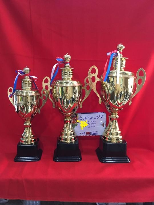 Trophy Metal imported New Design