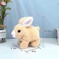 Walking Plush Rabbit with Music | Soft Toy Bunny for Kids | Musical Walking Rabbit Toy. 