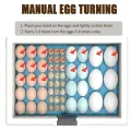 USB Egg Incubator with Thermostatic Incubator Manual Turnover Poultry Incubator Bionic Waterbed and Incubator All-in-One Machine. 