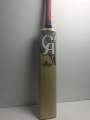 CA Thunder hardball bat. 