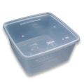 1.5L Disposable Plastic Box Pack Of 25 Pcs. 