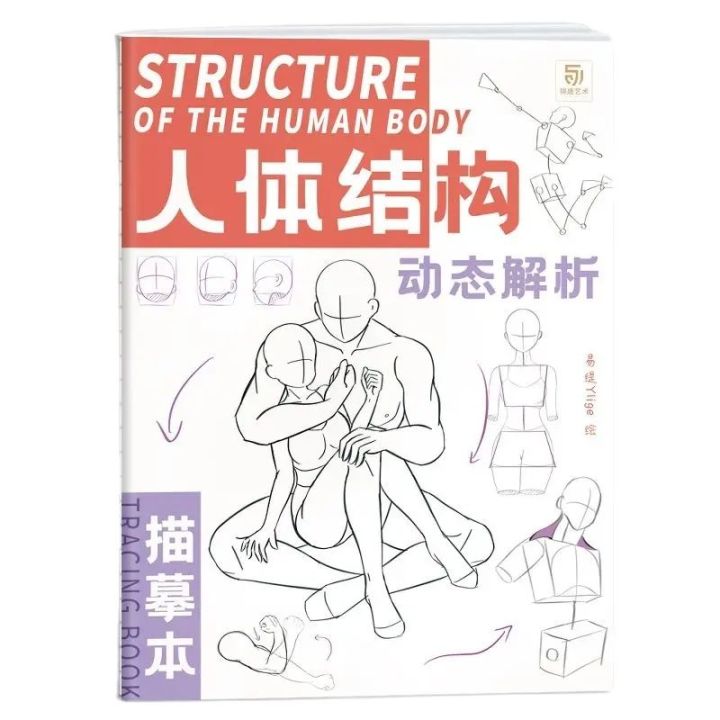 Anime%20Characters%20Tracing%20Sketch%20Hand%20Painted%20Tutorial%20Book%20Structure%20Of%20The%20Human%20Body%20Copy%20Practice%20Line%20Draft%20Practice%20Books%20-%20Image%206