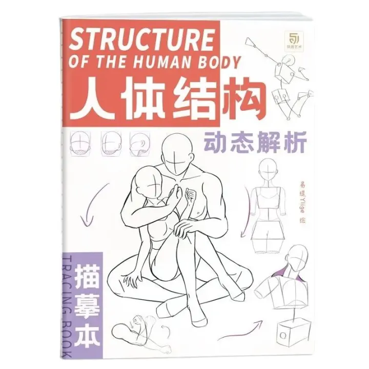 Anime%20Characters%20Tracing%20Sketch%20Hand%20Painted%20Tutorial%20Book%20Structure%20Of%20The%20Human%20Body%20Copy%20Practice%20Line%20Draft%20Practice%20Books%20-%20Image%206