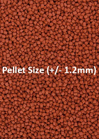 Red%20pellets%20for%20high%20protein%20pellets%20500g%20-%20Image%205