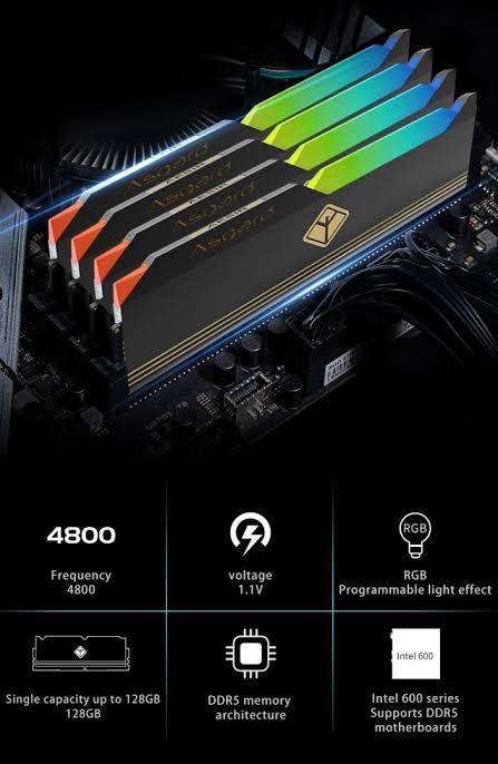 Asgard Premium DDR5 Gaming RGB RAM 32GB (16GB x2)