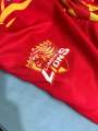Lumbini lions jersey. 