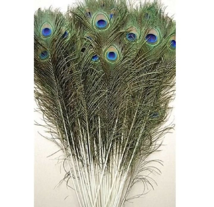 50%20pcs(50-70cm)%20peacock%20feather%20(mor%20k%20par)%20-%20Image%202