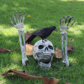 Halloween Skull Suit Ghost Festival Decoration Props Artificial Human Body Plastic Skull Hand Bar Masquerade Decoration.