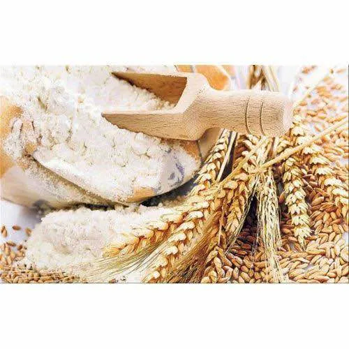 %E2%80%9CChakki%20Atta%2020kg%20Bag%20%7C%20100%25%20Pure%20Whole%20Wheat%20Flour%20%7C%20Premium%20Quality%20Atta%20for%20Soft%20Roti,%20Paratha%20&%20Chapati%20%7C%20Nutritious,%20Fresh%20&%20Stone-Ground%20%7C%20Buy%20Chakki%20Atta%20Online%20in%20Pakistan%E2%80%9D%20-%20Image%202