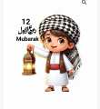 12 Rabiulawal iron patches stickers for boys and girls stick permanently on clothes. 