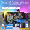 WS2811 RGBIC LED Pixel Light Strips 24V 5M 10M 15M 20M Smart Wifi Alexa Voice Control Addressable 5050 Flex LED Tape Ribbon Lamp. 