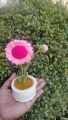 Crochet Daisy Flower Mini Pot   /Crochet Flowers. 