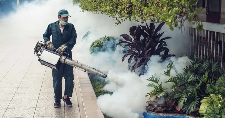 Fogger%20Spry%20machine%20(fogging)%20for%20Dengue%20virus%20And%20Mosquito%20Etc%20Double%20Carburettor%20Double%20Option%20Push%20Start%20And%20Manual%20Start%20-%20Image%202