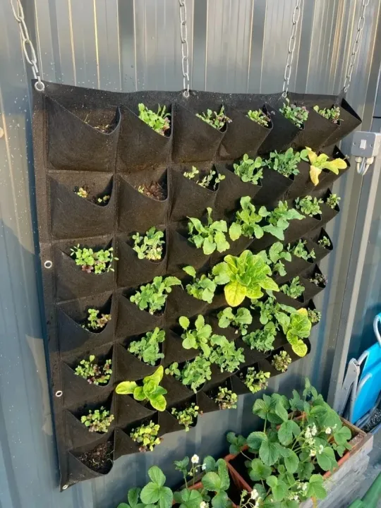 Multi-pocket%20Planting%20Bag%20Felt%20Vegetable%20Fruit%20Flowers%20Grow%20Bags%20for%20Plants%20Hanging%20Vertical%20Home%20Garden%20Tools%20Plant%20Seeding%20Pot%20-%20Image%203