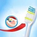 Colgate Simulated Toothbrush Soft Medium Bristle Comfortable Handle Home Travel Portable Oral Hygiene Care Tool. 