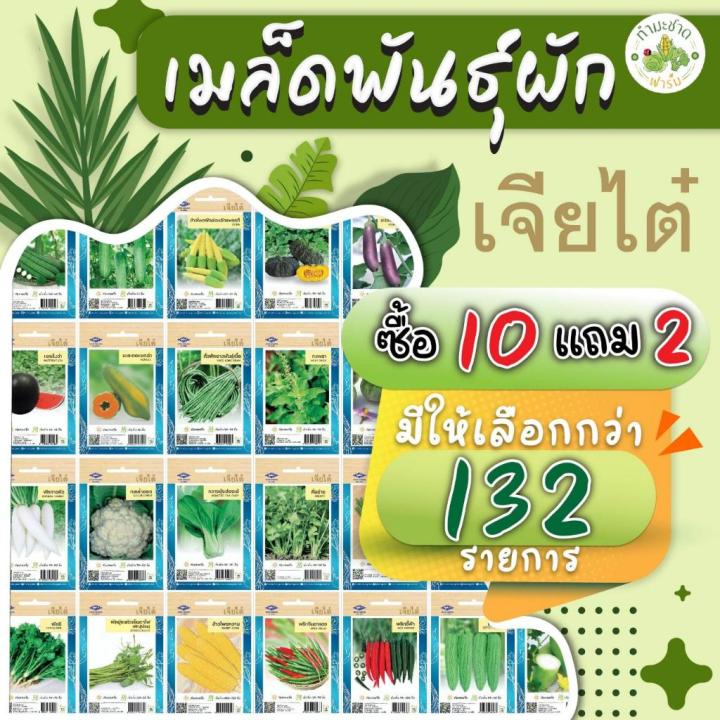 Chia%20Tai%20(buy%2010%20get%202)%2010g%20yard%20long%20bean%20seeds,%20yard%20long%20bean%20seeds,%20yard%20long%20bean%20seeds,%20vegetable%20seeds,%20garden%20vegetables%20-%20Image%207