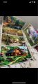 Imported Wall hanging carpets. 