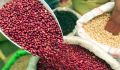 Lal Lobia - Desi Lal Lobia -Red Kidney beans half kg pack. 