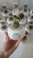 Round vase for home and living room decorative plantable.