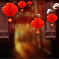 10pcs Chinese New Year Decoration Red Lantern Newyear Dragon Year Traditional Lanterns Wall Decor Japanese Lantern Asian Decor. 