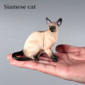 Simulation Cat Model Action Figures Set - Siamese Sphynx Persian Breeds Miniature Pet Figurines for Kids Educational Home Decor.