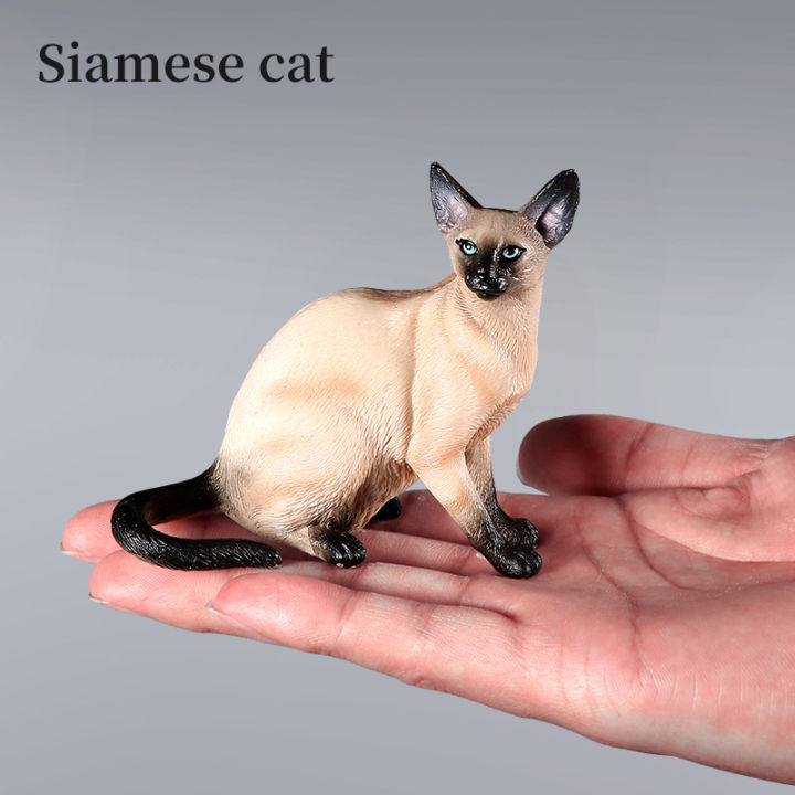 Simulation%20Cat%20Model%20Action%20Figures%20Set%20-%20Siamese%20Sphynx%20Persian%20Breeds%20Miniature%20Pet%20Figurines%20for%20Kids%20Educational%20Home%20Decor%20-%20Image%204