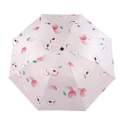 BMW Light weight Auto Open-close Printed Umbrella- Orange/Watermelon/Kiwi.