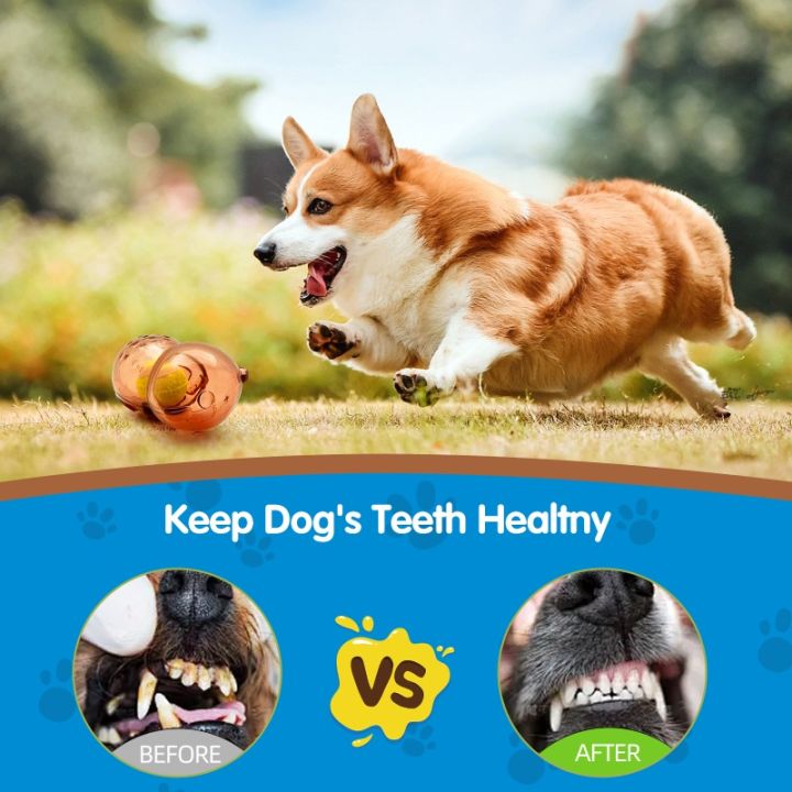 Pet%20Dog%20Chew%20Toy%20Outdoor%20Pet%20Puppy%20Bite%20Resistant%20Molar%20Floating%20%20Tennies%20Bear%20Squeaky%20Toy%20Dog%20Squeaky%20Toy%20Accessories%20-%20Image%206
