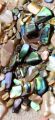 10 g Natural Crushed mini abalone shells Mother of pearl shell for resin art. 